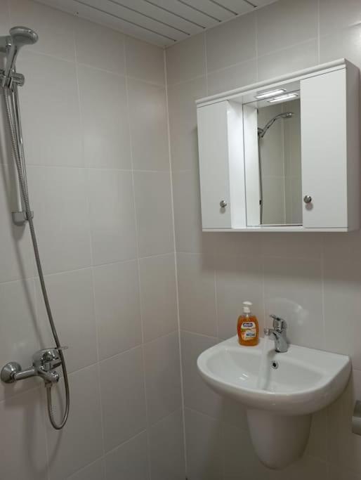 Gradina Apartment Montana Zewnętrze zdjęcie